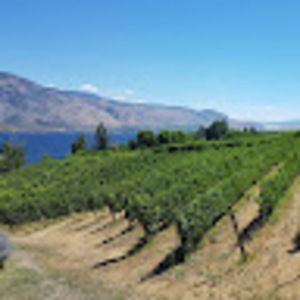 Meet your Posher, Jessie l.a.